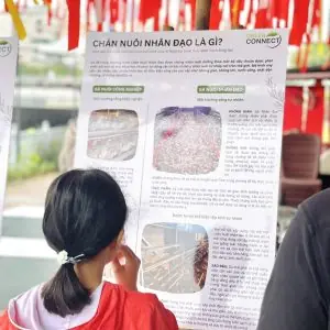 Tour Tiền Giang – Chợ Nổi Tân Phong – Làng Nghề